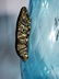 Silvano Signoretto Murano Art Glass Vase - 5