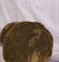 A Fine Antique Chinese Yongzheng Meiping Vase Lamp - 15