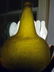Fine Dutch Onion Olive Color Bottle 17th c Open Pontil - 11