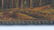 Antique Russian Silver & Enamel Box Signed & Mark 1930s - 12