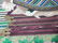 Chinese Scroll Painting 1st Rank Military Officer 1850 - 14