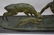 Art Deco SOLID Bronze Nude Statue signed Ary Bitter - 9