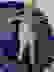 item-67075953=2