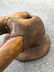 A fine old Walrus Skull and Tusks - 3
