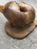 A fine old Walrus Skull and Tusks - 4