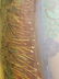 A lg fine signed Pairpoint reverse painted lamp - 18