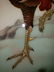 A Magnificent Japanese Cloisonne-Enameled Cockerel - 8