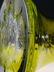 American Brilliant Period Baccarat green to clear vase - 19