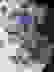 item-69076638=4