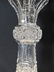 Giant American Brilliant Pd cut glass decanter ?Bergen - 5