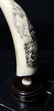 Signed Scrimshaw "L. Leyden" Seascape - 11