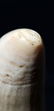Signed Scrimshaw "L. Leyden" Seascape - 13