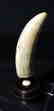 Signed Scrimshaw "L. Leyden" Seascape - 8