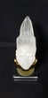 Signed Art Glass Lalique Perfume Bottle - 15