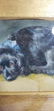Fine Antique Dog Water Color 19 c - 3