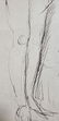 Auguste Rodin (1840 - 1917) Ink on Paper Signed - 9