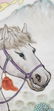 Pr Of Chinese Porcelain Plaques 1920-30 Mu Guiying - 16