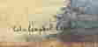 item-73171433=2