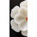 A Fine Chinese Hardstone Jade Carved Flower Pendant - 10
