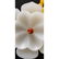 A Fine Chinese Hardstone Jade Carved Flower Pendant - 9