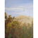 19th Century Hudson River School American Oil Painting - 7