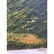 James Gibson 1938-2017 Florida Highwaymen landscape #3 - 2