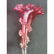 Victorian Cranberry Epergn - 12