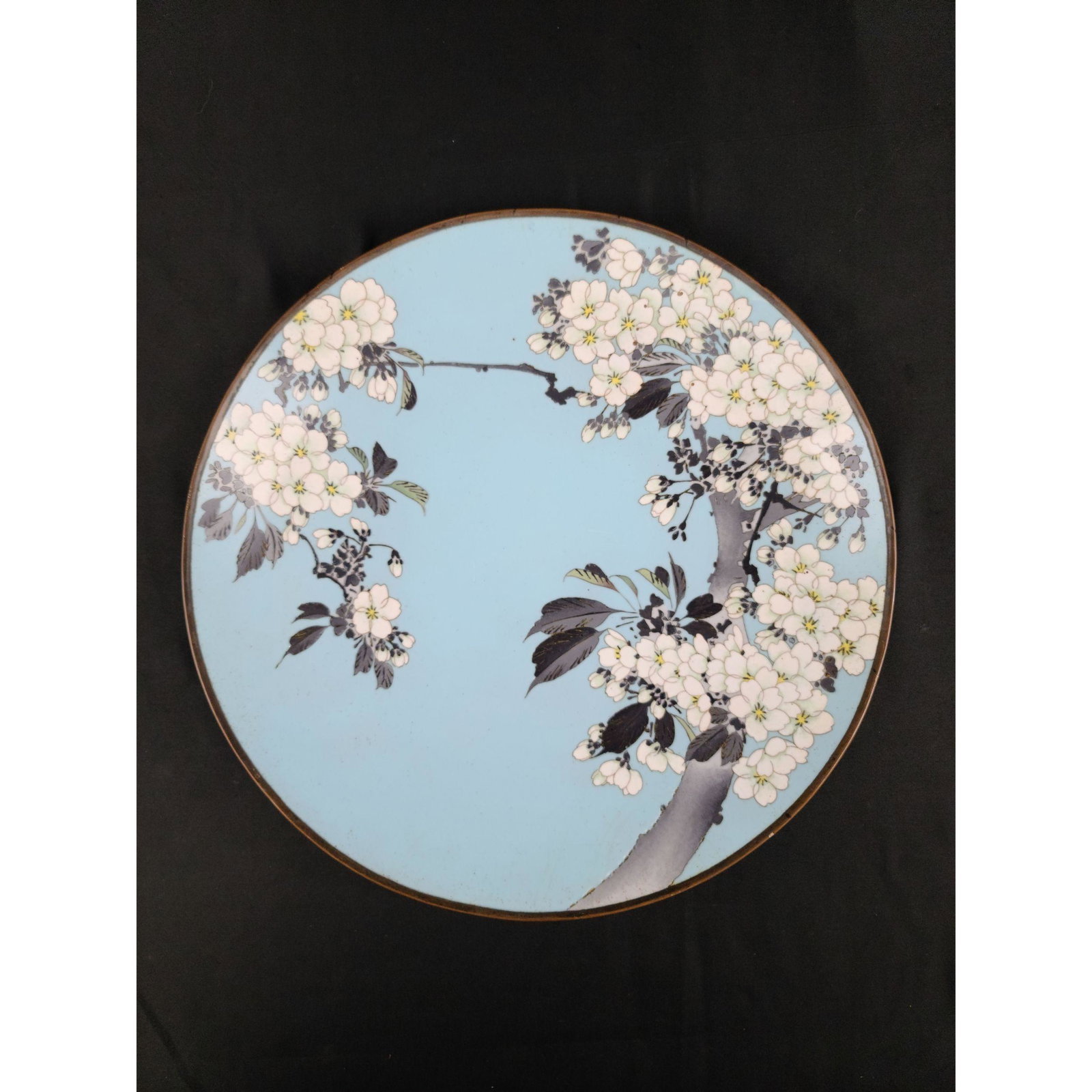 A very fine Japanese Cloisonne Charger Signed (1 of 10)