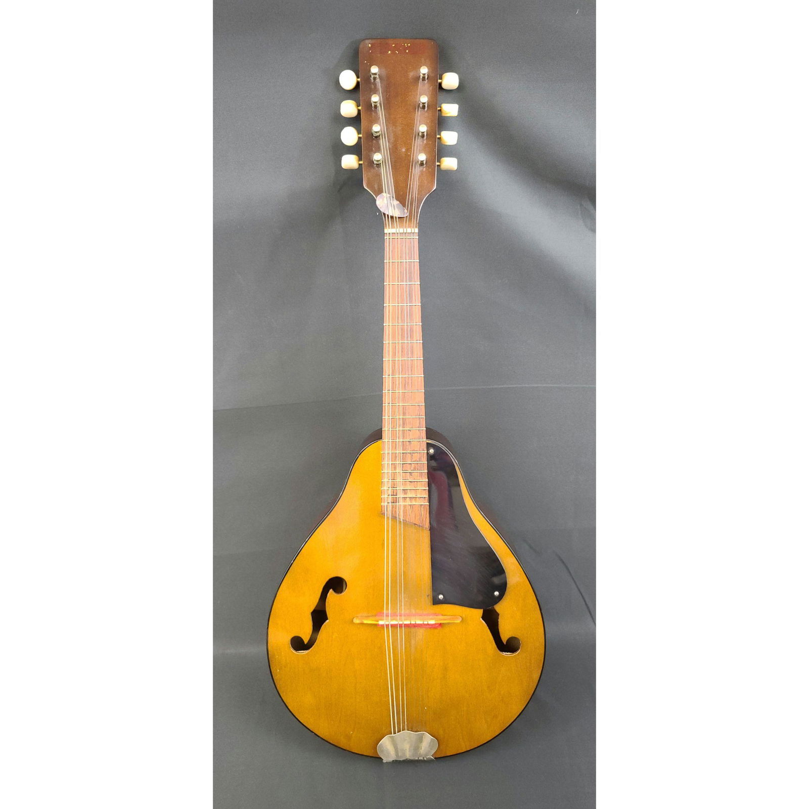 Vintage Mandolin (1 of 9)