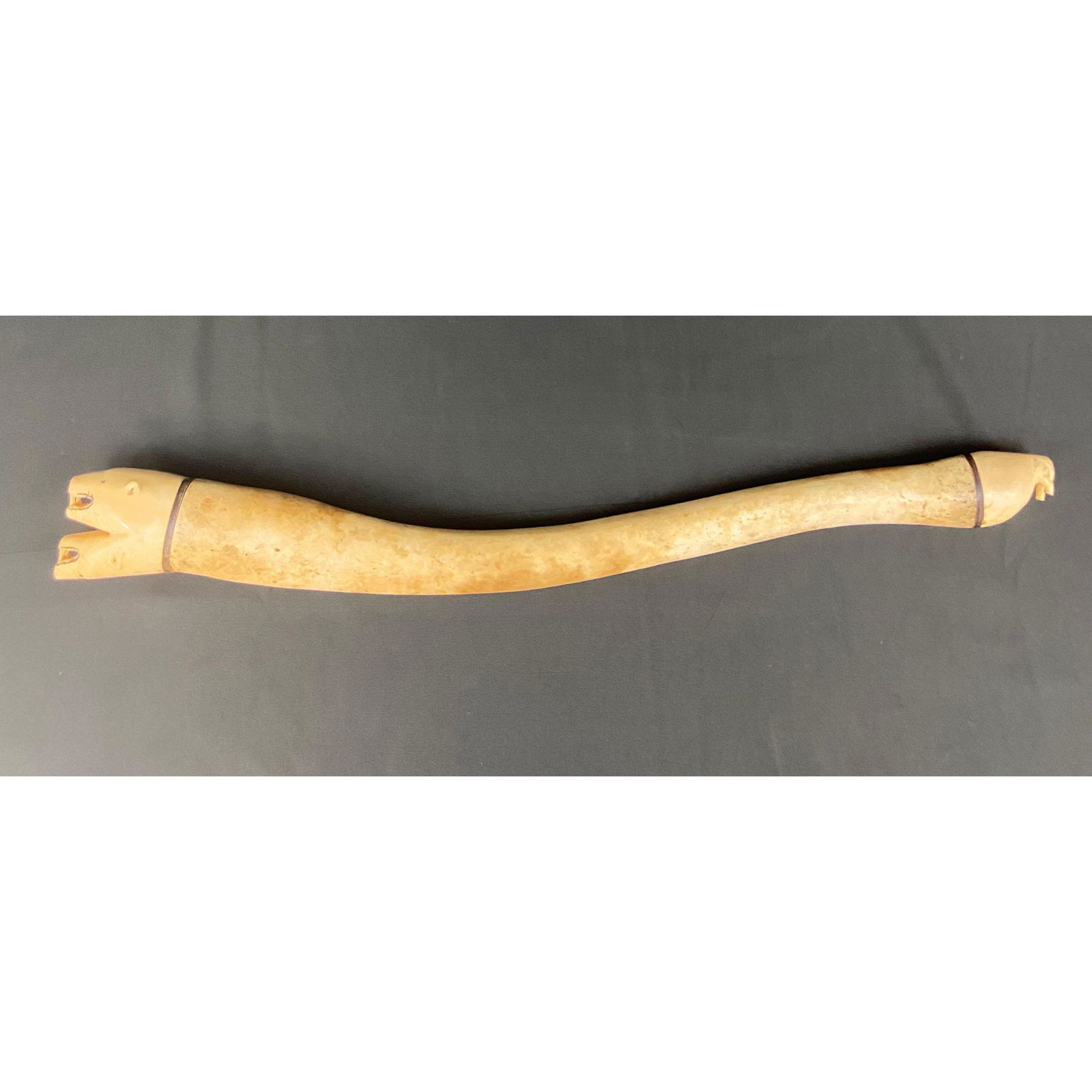 Inuit Ceremonial Walrus Baculum Penis Bone: Inuit Ceremonial Walrus Baculum Penis Bone, capped on both ends walrus tusks, whale baleen spacer. Measures 24 1/2"