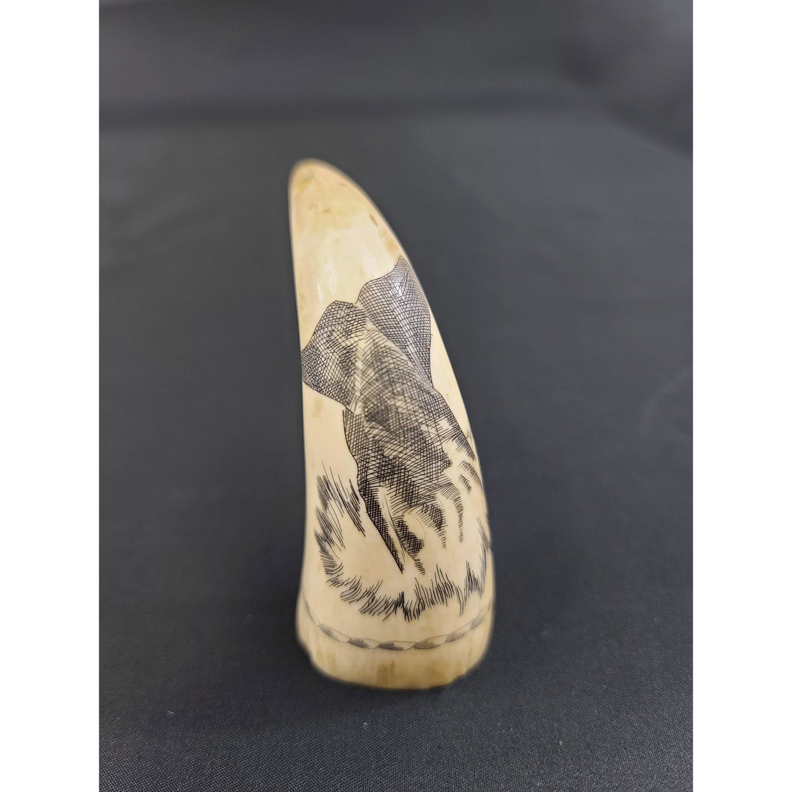 Antique Whale Tooth Schrimshaw signed "Don Thomas" 19C: Antique Whale Tooth Schrimshaw signed "Don Thomas" 19c measures 3 1/2"