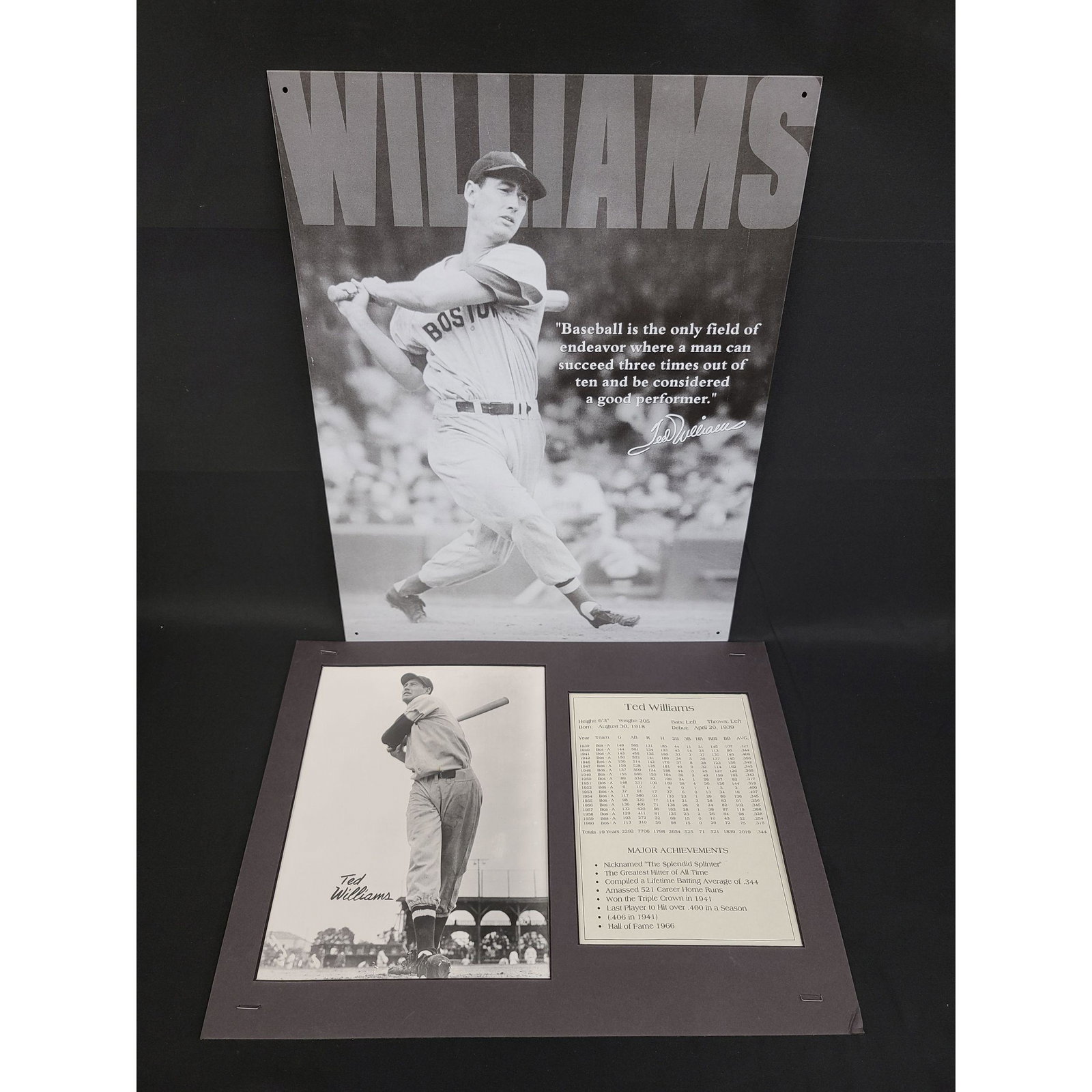 Ted Williams Baseball Tin Metal Sign MLB Boston Mass Ba: Ted Williams Baseball Tin Metal Sign MLB Boston Mass Ball Field 12x16