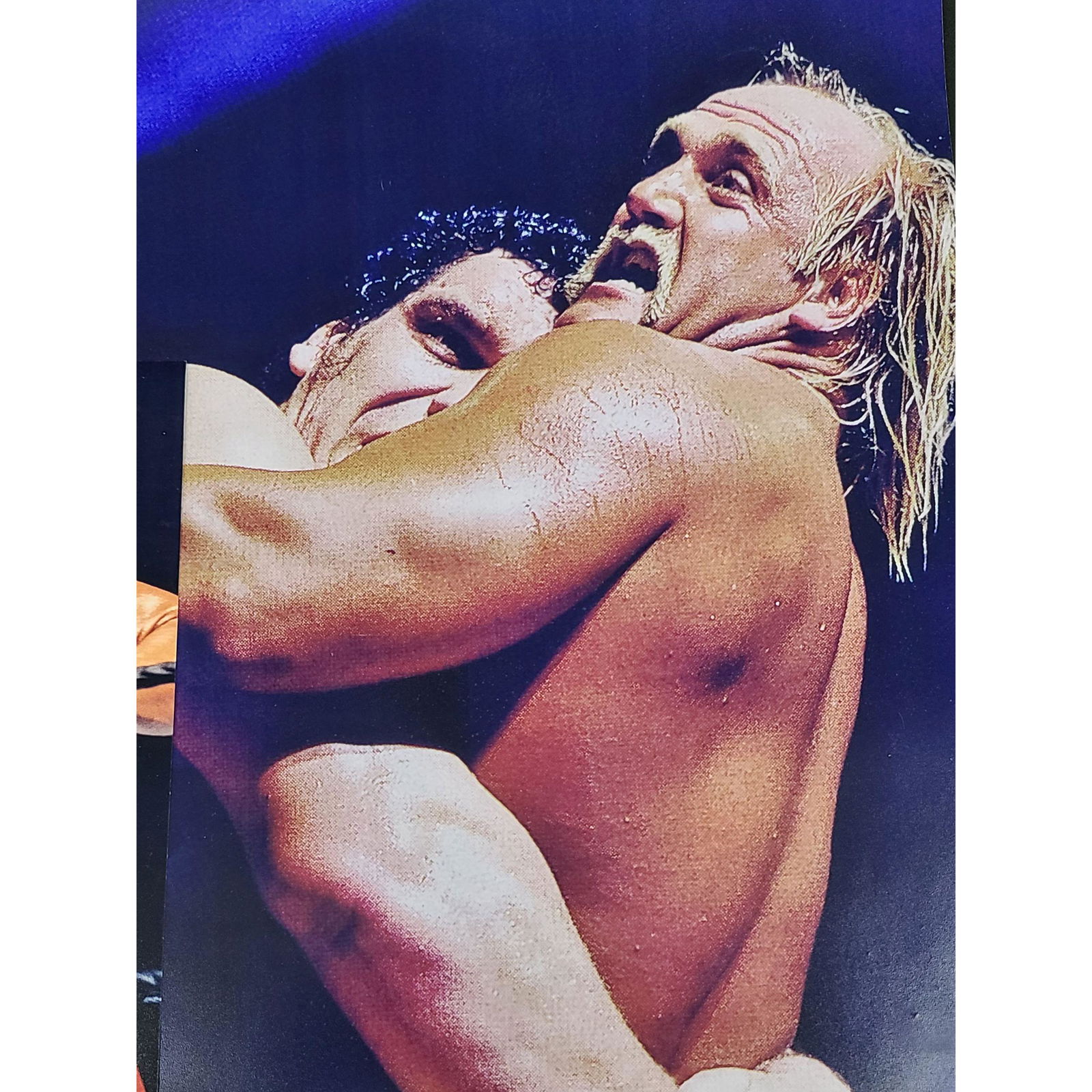 LOT OF 2 WWE HULK HOGAN AUTOGRAPHED PHOTOS (1 of 4)