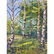 Two Oil on Canvas Signed Landscapes - 4