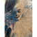 Mid Century oil on Masonite clown Haunting rendition - 9