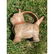Rare Pre Colombian vessel in the form of a cat - 16