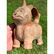 Rare Pre Colombian vessel in the form of a cat - 18