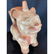 Rare Pre Colombian vessel in the form of a cat - 9