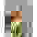 item-87902033=5