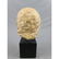 Vintage 1980 Alva Studio Head-bust - 5
