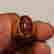 item-90401037=11