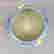 item-90971268=11