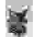 item-102681036=7