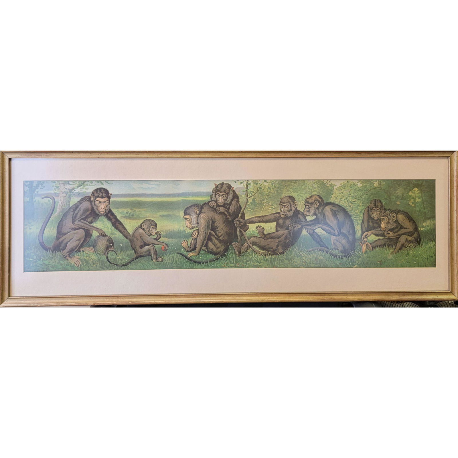 Rare Yard Long Monkey Lithograph 1904 "A Happy Family" (1 of 9)