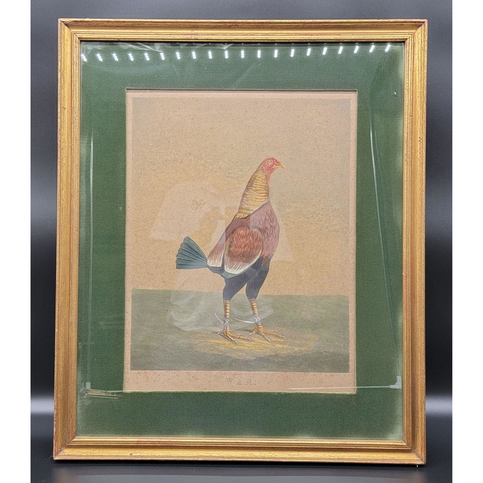 Benjamin Marshall Colored Engraving Rooster "WAR" (1 of 13)