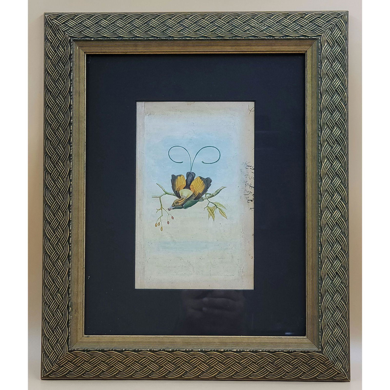 Indo-Persian Gouache  Painting Of A Bird of Paradise, (1 of 7)