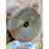 item-126717401=12