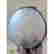item-126717401=7