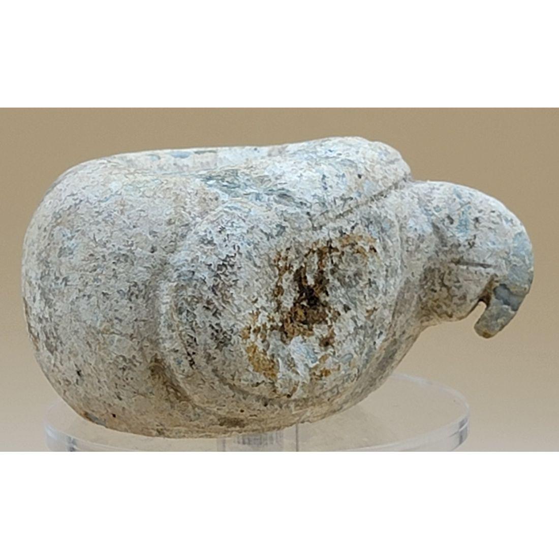 Ancient Stone Artifact Pre Colombian Mace Head RARE (1 of 12)