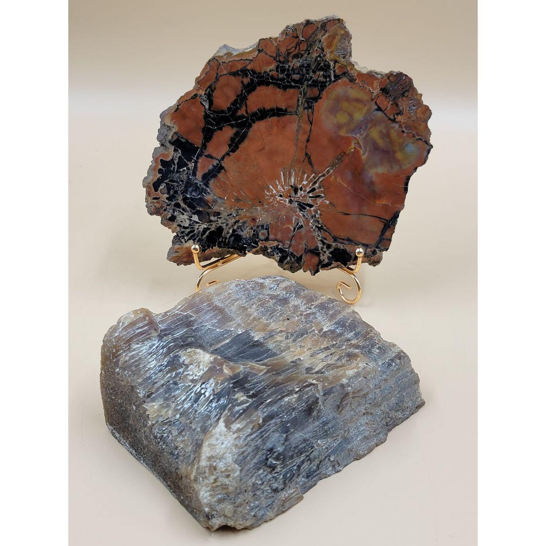 2 Very Nice Piece Of Petrified Wood Looks Pre Historic AMAZING COLORS (1 of 18)